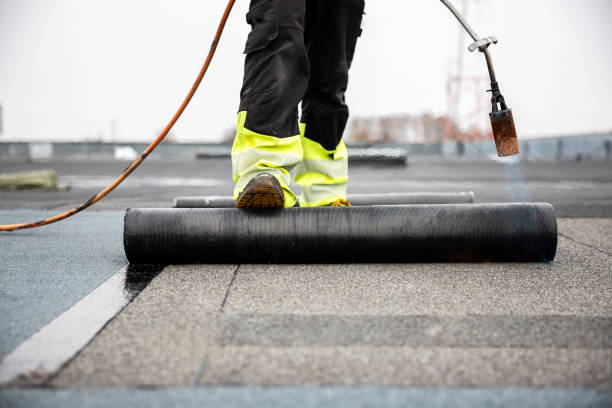 Best Roof Moss and Algae Removal  in The Pinehills, MA