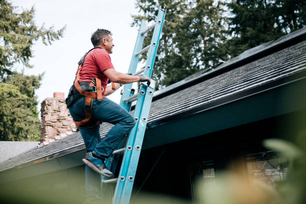 Best Solar Panel Roofing Installation  in The Pinehills, MA